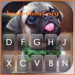Cute Tongue Pug Keyboard Background icon