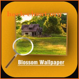 Blossom Wallpaper icon
