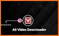 VitMate Video Downloader - all video downloader related image