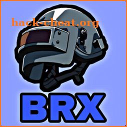 منضور ايباد - BRX icon