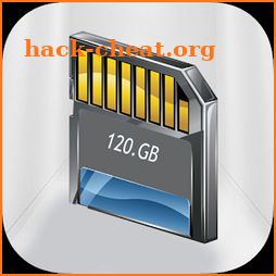 100 GB Storage Card SD icon