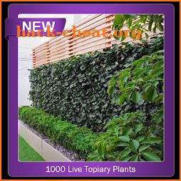 1000+ Live Topiary Plants icon