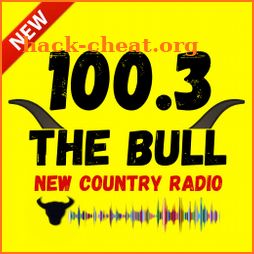 100.3 The Bull Houston 📻 icon