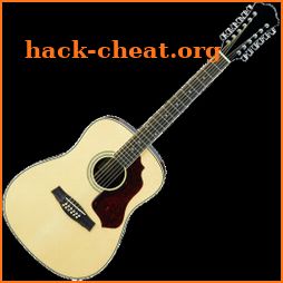 12-String Guitar Tuner Simple icon