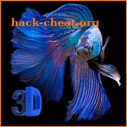 3D Betta Fish Live Wallpaper icon
