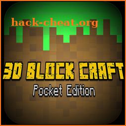 3d Block Craft Games icon