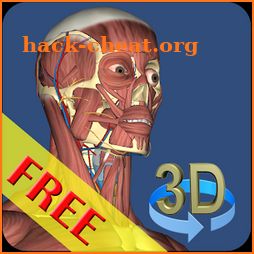 3D Bones and Organs (Anatomy) icon