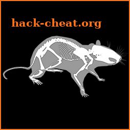 3D Rat Anatomy icon