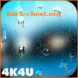 4K Rain Drops on Screen Video Live Wallpaper icon