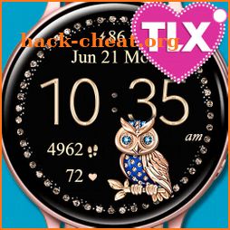 7 Owls Watch icon