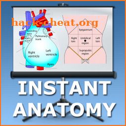 Abdomen and Thorax Lectures icon