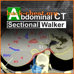 Abdominal CT Sectional Walker icon