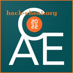 ACE 22 icon