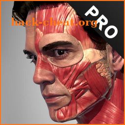 Action Anatomy Pro - Anatomy Pose App for Artist icon