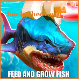 Advices Fish Feed and Grow Tips icon