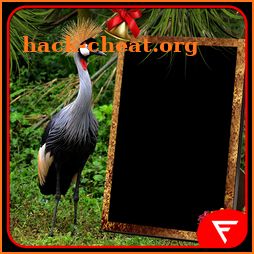 African Crowned Crane Insta DP icon