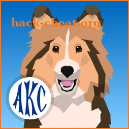 AKC Math Agility icon
