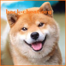 Akita Dog Simulator icon