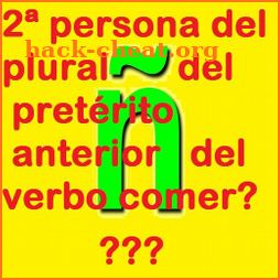 Alb Spanish Verbs - Conjugation offline icon