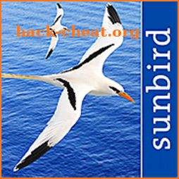 All Birds West Indies: Puerto Rico east to Antigua icon