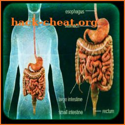 All Stomach Diseases and Treat icon