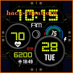 ALX04 LCD Digital Watch Face icon