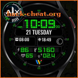 ALX05 LCD Digital Watch Face icon