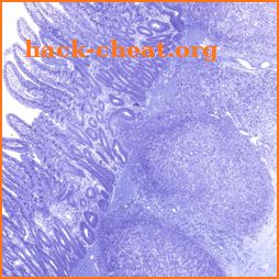AnatLab Histology icon