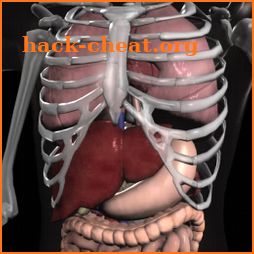 Anatomy 3D: Organs icon