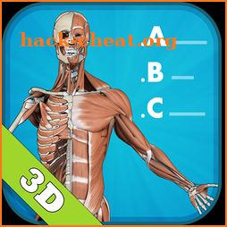 Anatomy Quiz 3D  - human icon