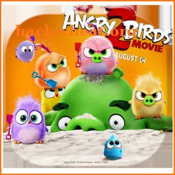 Angry Birds Hatchlings Themes & Live Wallpapers icon