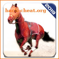 Angry Horse Racing 3D Simulator icon