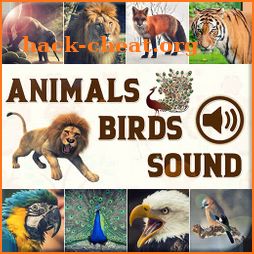 Animal & Bird Real Sounds icon