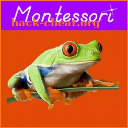 Animal Kingdom - Vertebrates - Montessori Zoology icon