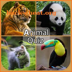 Animal Quiz icon