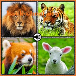 Animal sounds and pictures icon