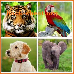 Animal Sounds.Animals for Kids.Learn Animals icon
