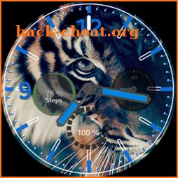 Animal Tiger WatchFace icon