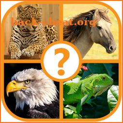 Animal Trivia Quiz - Guess the Animal Game icon