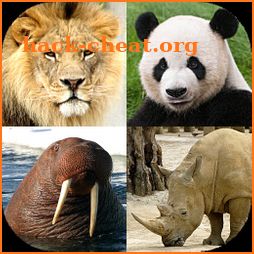 Animals Quiz - Learn All Mammals, Birds and more! icon