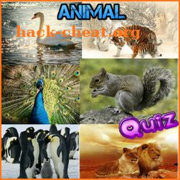 Animals Quiz – Let up and game icon