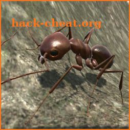 Ant Simulation 3D Full icon