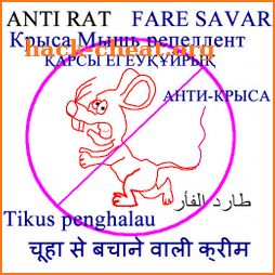 ANTI RAT icon