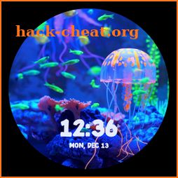 Aquarium Fish Live Watch Faces icon