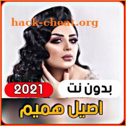 Aseel Hamim 2021 without internet icon