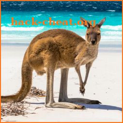 Australia’s Best: Travel Guide icon
