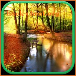 Autumn Forest Live Wallpaper icon