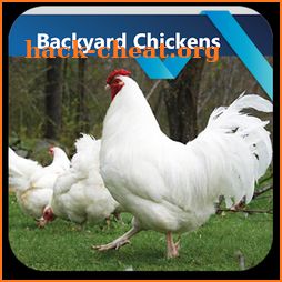 Backyard Chickens icon
