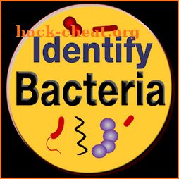 Bacteria Identification Made Easy | Free & Offline icon