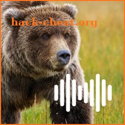 Bear hunting calls icon